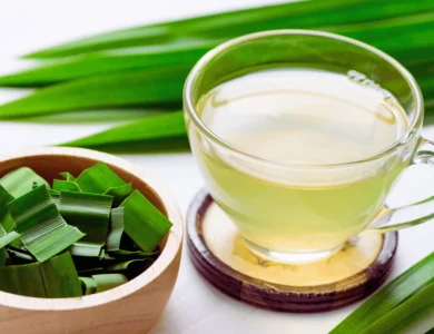 Pandan Tea Benefits and Brewing Guide | Try Now.